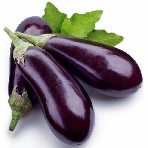 Fresh Purple Brinjal