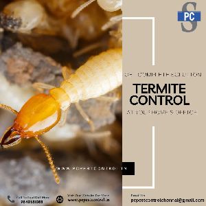 termite control services