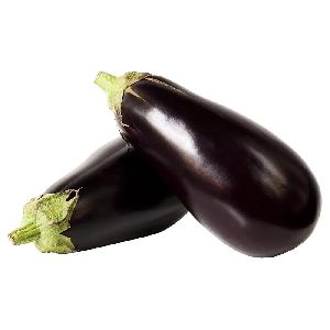 Fresh Brinjal