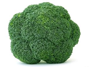 Fresh Broccoli