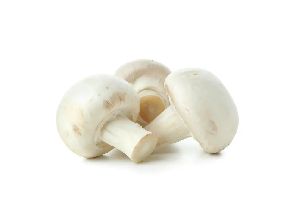 Fresh Button Mushroom