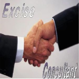 central excise consultancy services