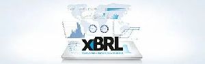 XBRL Data Conversion Services