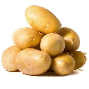 Fresh Potato