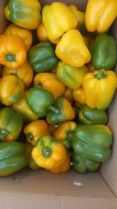 Capsicum Yellow