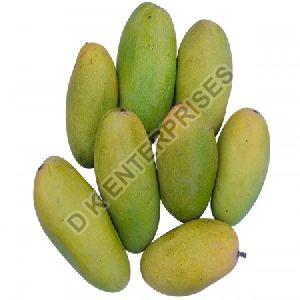 alphonso mangoe