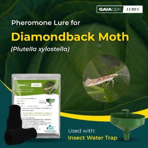 gaiagen diamondback moth pheromone lure