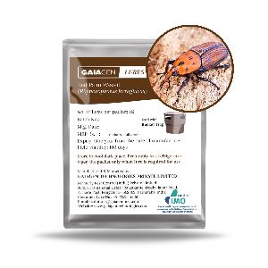 GAIAGEN Lures - Pheromone Lure for Red Palm Weevil (Rhynchophorus ferrugineus)