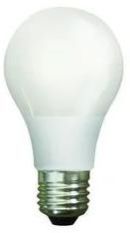 12W LED Bulb