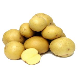 Lauvkar Potato