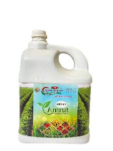 Ayran Amrut