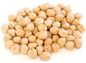 white chickpea