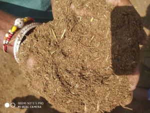 dry grind cow dung powder