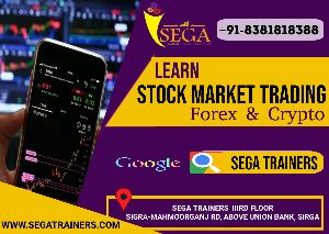 Stock Market Training