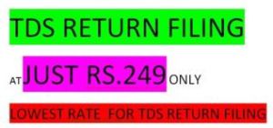 TDS Return Filing Services