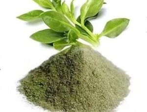 Organic Andrographis Paniculata Kalmegh Extract Powder