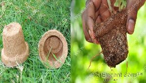 Coir Seedling Pots