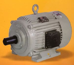 Single Phase Induction Motor Manufacturer Supplier From Jalandhar India