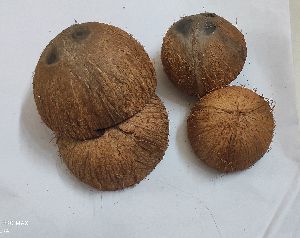 Coconut Shells