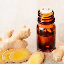 Ginger Root Oil