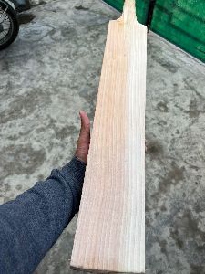 A grade english willow cricket bat