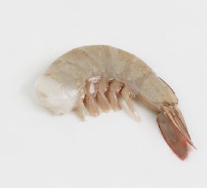 Raw Headless Shell-On Easy Peel Vannamei Shrimp