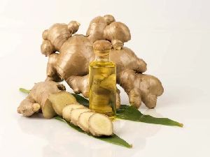 Ginger Oil