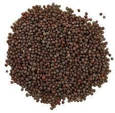 Black Mustard Seeds