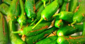 stuffed green chilli pickle