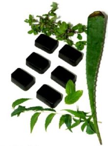 Mint Neem Tulsi Soap