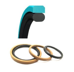 Piston Glyd Ring