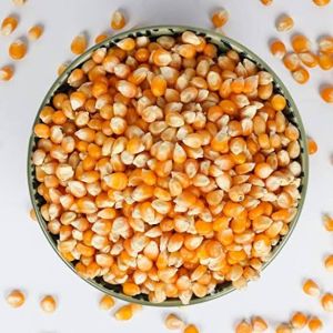 Maize