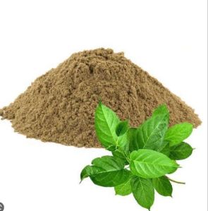 Gymnema Sylvestre Extract