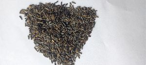 Niger Seeds