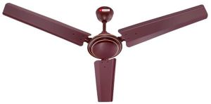 Popular Ceiling Fan