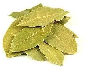 Dried Bay Leaves