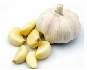 Fresh Garlic