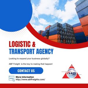 logistics consultant