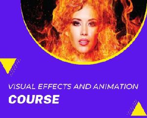 visual effects course training