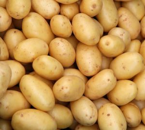 Potatoes