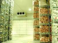 Multipurpose Cold Storage System