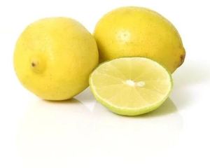 fresh Lemon