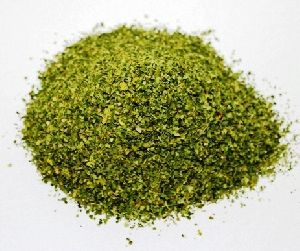 moringa olefiera tea cut leaves