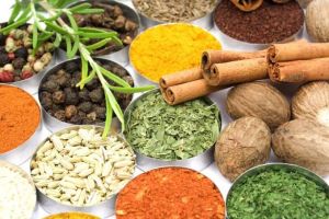 Ayurvedic Herbs