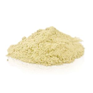 Mushroom Powder