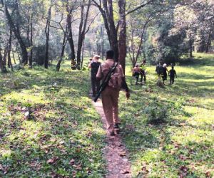 forest trekking service