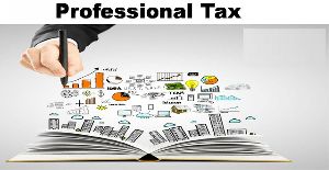 Professional Tax Registration Services