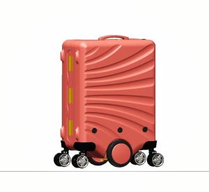 Luggage Suitcase