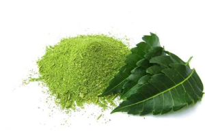 neem seeds powder