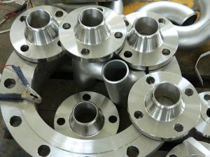 Ss Flanges